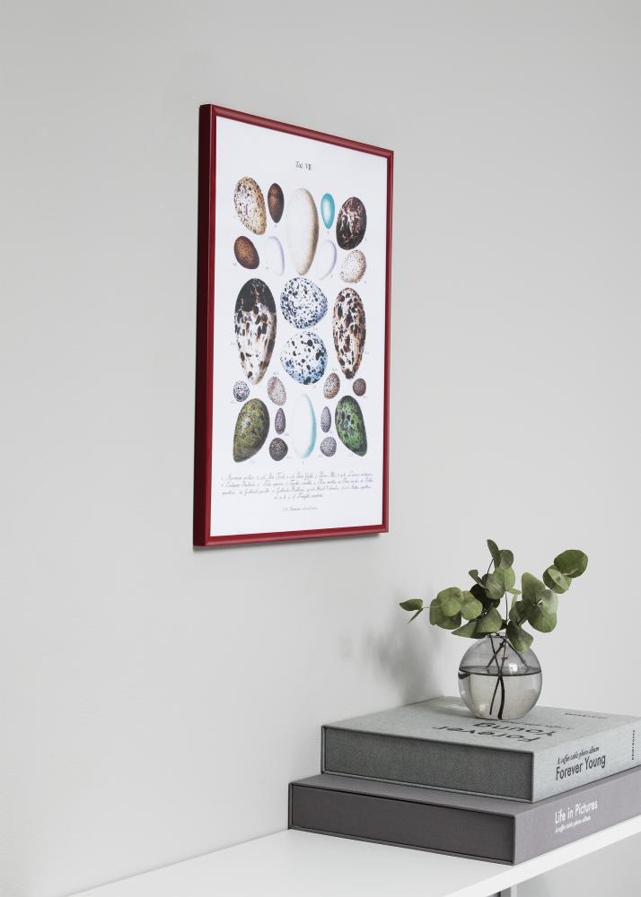 Rám New Lifestyle Akrylové sklo Cervená 70x100 cm