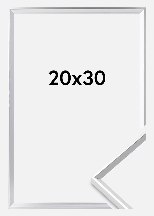 Rám Desire Akrylové sklo Stríbrná 20x30 cm