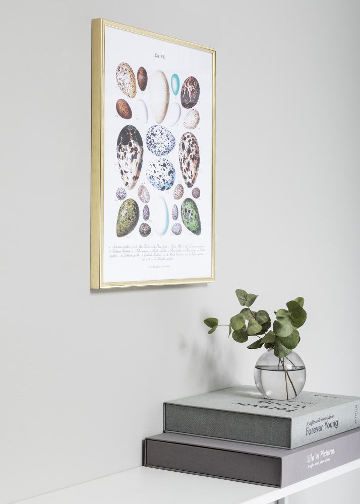 Rám Nielsen Premium Classic Zlatá 70x100 cm