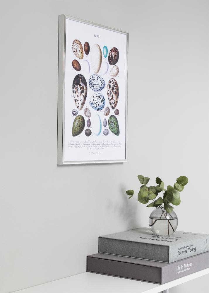 Rám Nielsen Premium Classic Stríbrná 50x60 cm