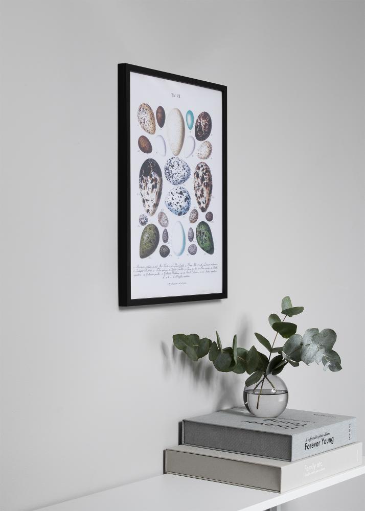 Rám Oslo Akrylové sklo Cerná 60x60 cm