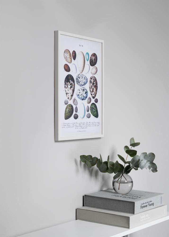 Rám Oslo Akrylové sklo Bílá 30x30 cm