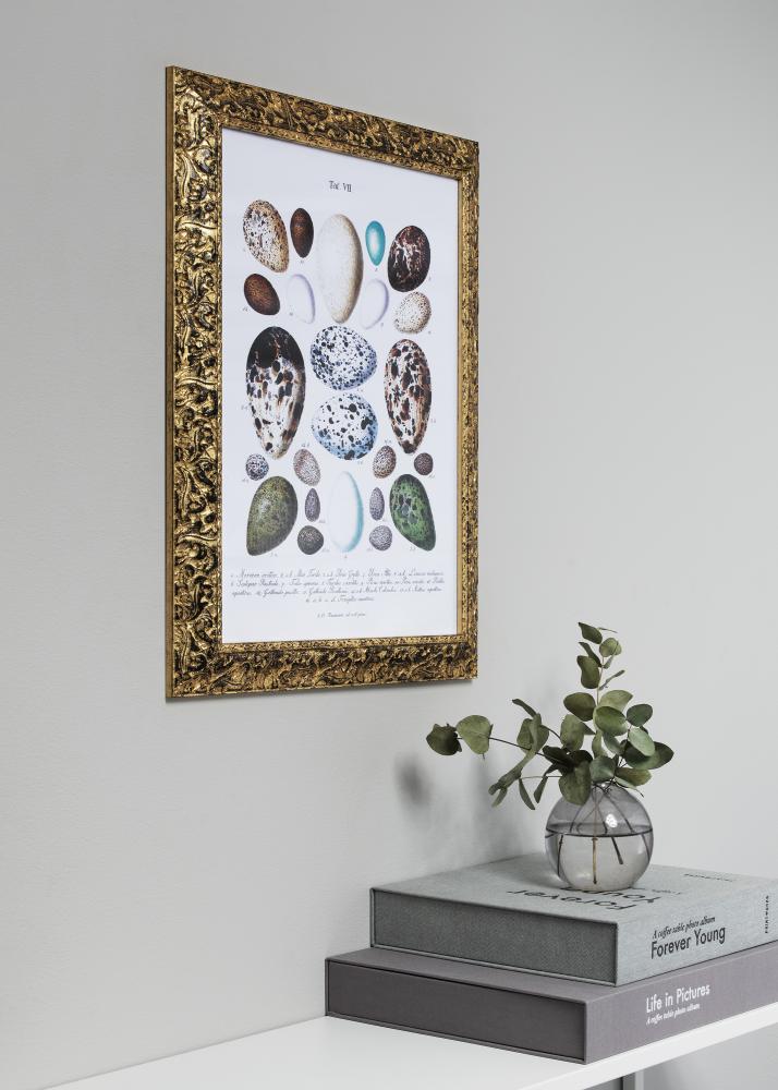 Rám Ralph Zlatá 18x24 cm