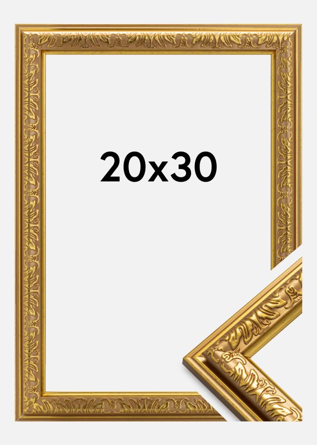 Rám Nostalgia Zlatá 20x30 cm