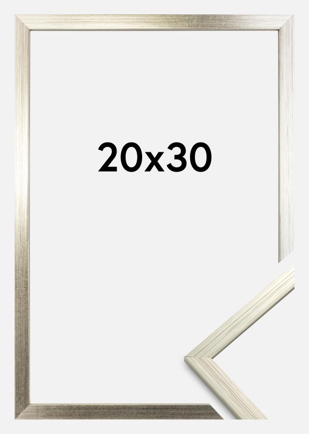 Rám Edsbyn Stríbrná 20x30 cm
