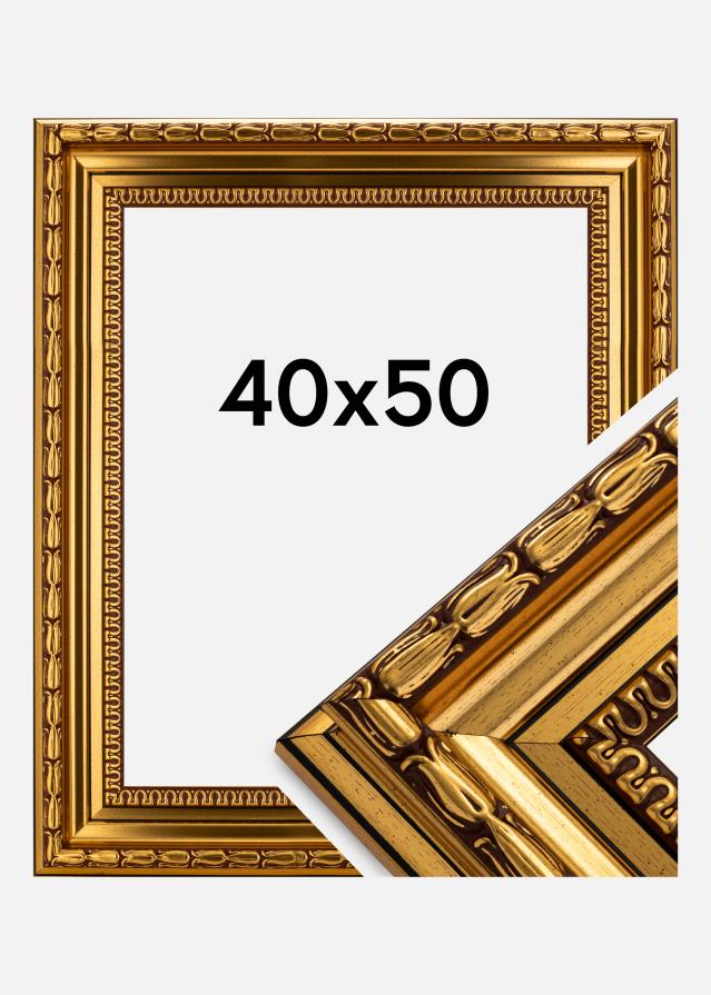 Rám Birka Premium Zlatá 40x50 cm