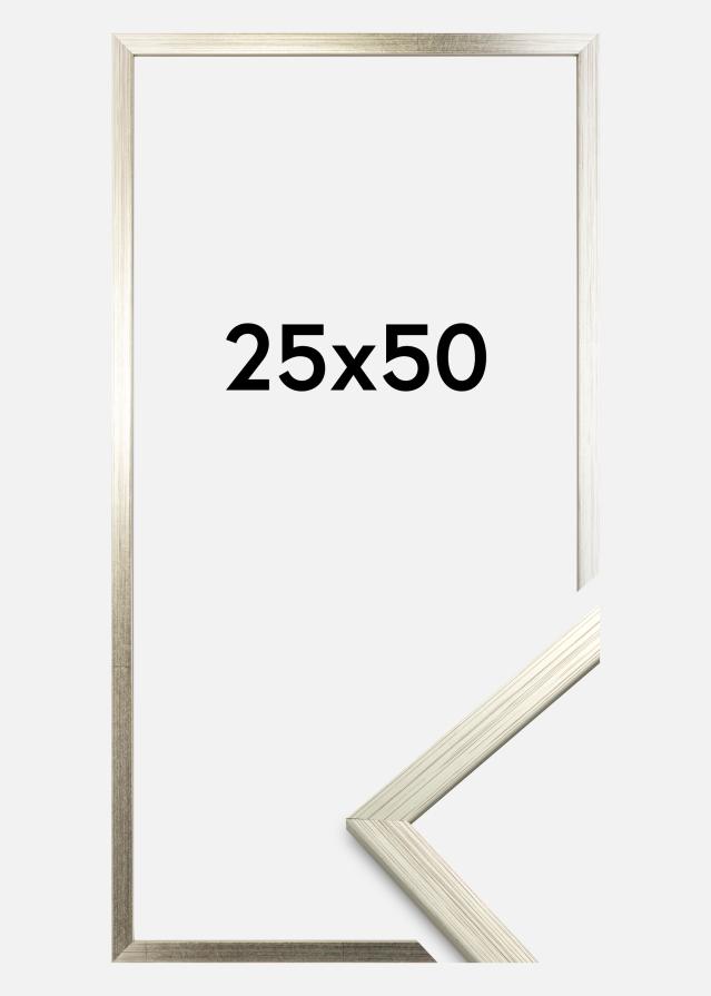 Rám Edsbyn Stríbrná 25x50 cm