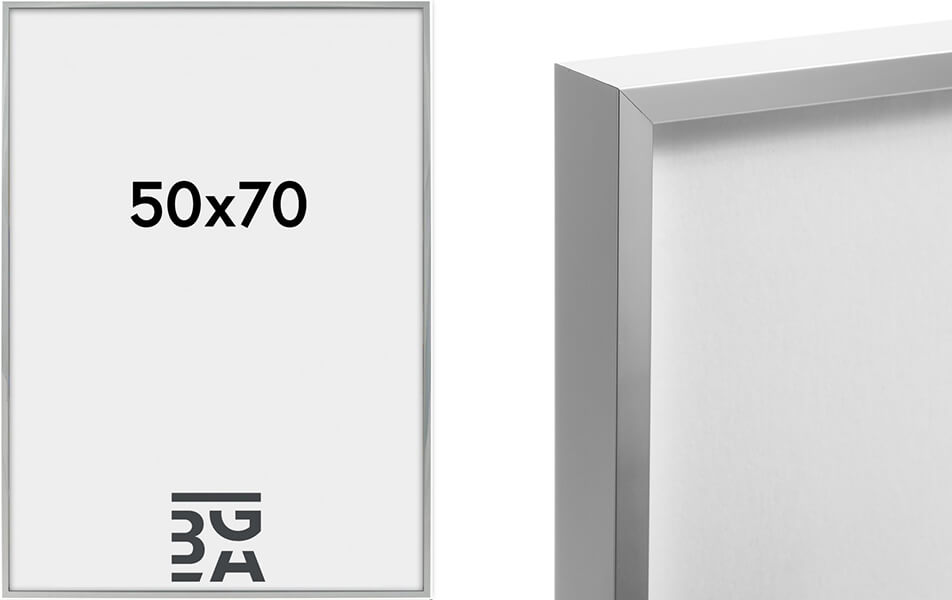 Obrázky na elegantní stříbrný rám
