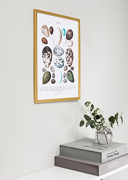 Hezké rámy ve zlatě